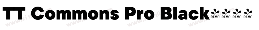 TT Commons Pro Black字体转换